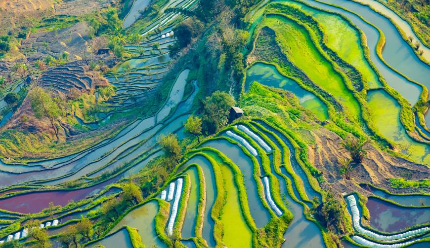 乐山广告片拍摄公司数字技术驱动的广告革命